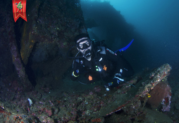 Trip Menyelam & Kuliner di Bali Utara 3D2N