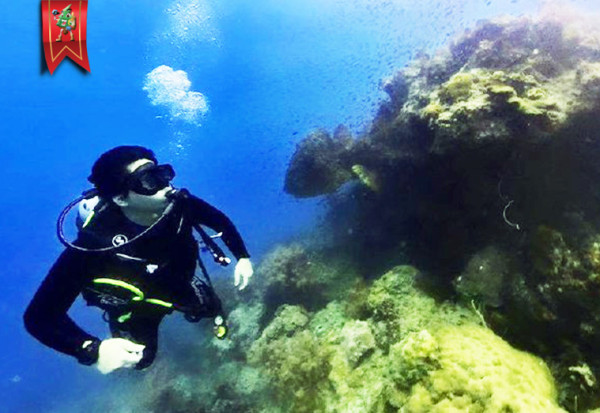 PADI Open Water Course at Pramuka Island by Instructor Sam